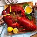 3 lb Live Maine Lobster - Maine Lobster Now