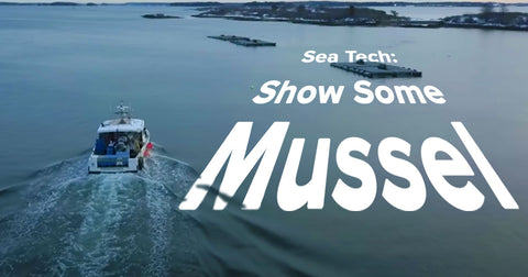 Show Some Mussel: How High-Tech Machines Are Bringing Seafood to Your Home - Maine Lobster Now