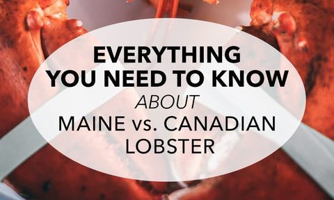 Everything You Need to Know About Maine vs. Canadian Lobster - Maine Lobster Now