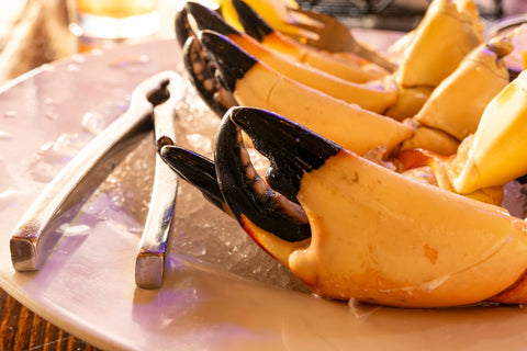 Florida Stone Crab Season: Your Complete Guide to Harvesting, Regulations, and Sustainability - Maine Lobster Now