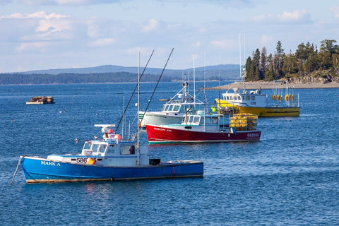 How Climate Change Is Impacting Maine’s Lobster Fishery - Maine Lobster Now