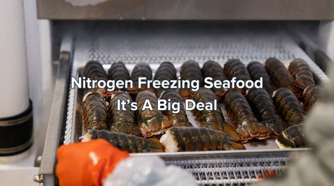 Nitrogen Freezing Seafood - An In Depth Analysis - Maine Lobster Now