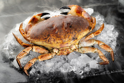 The Ultimate Florida Stone Crab Buying Guide - Maine Lobster Now