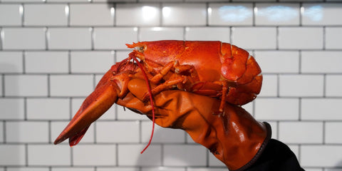 Understanding Maine Lobster Prices: A Comprehensive Guide - Maine Lobster Now