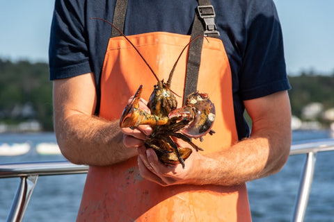 Your Guide to Buying Lobster Online - Maine Lobster Now