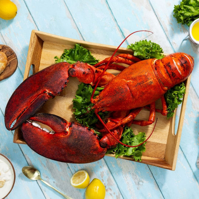 10 lb - 15 lb Live North Atlantic Lobster Online