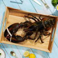 4 lb - 6 lb North Atlantic Live Lobster