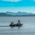 Alaskan Snow Crab Clusters x 2