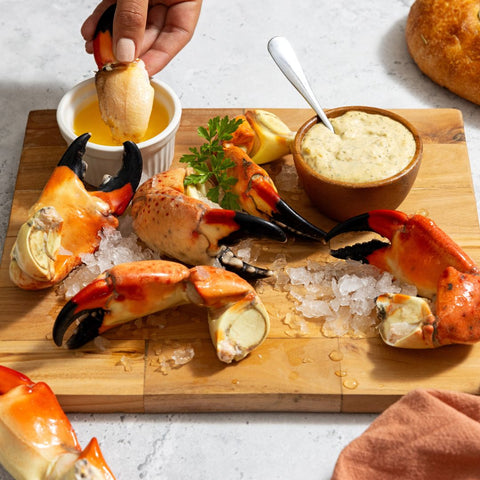 Florida stone crab