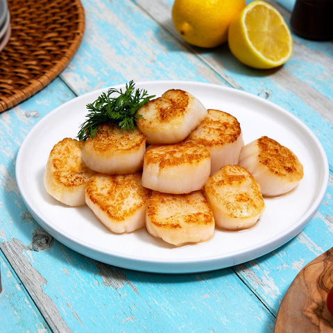 Fresh Maine Scallops