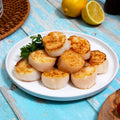 Fresh Maine Scallops