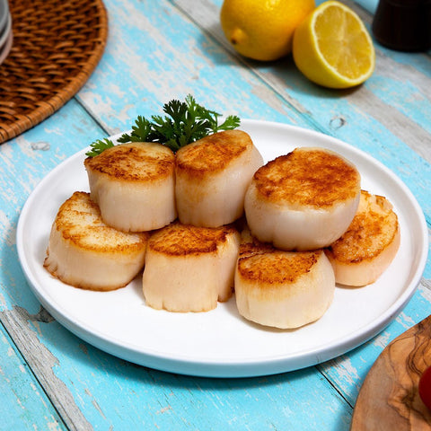 Frozen Maine Scallops