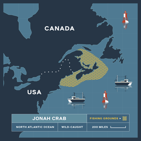 Gulf Of Maine Jonah Crab Leg Meat (aka Peekytoe) - 1 lb.