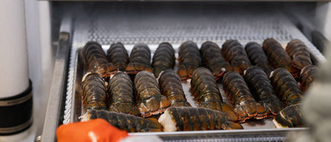 FREE Maine Lobster Tails!