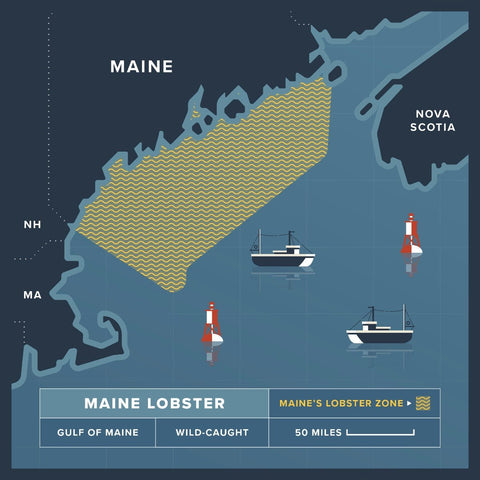 Live Surf And Turf Dinner - Maine Lobster Now