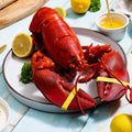 2 lb Live Maine Lobster - Maine Lobster Now