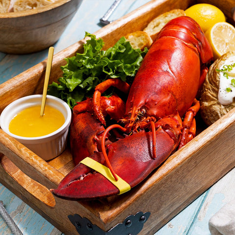 2 lb Live Maine Lobster - Maine Lobster Now