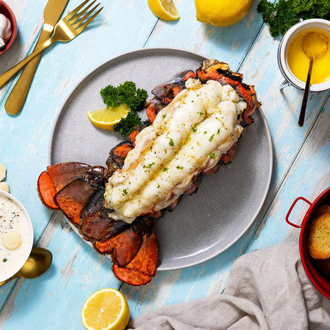 20-24 oz. North Atlantic Lobster Tail - Maine Lobster Now