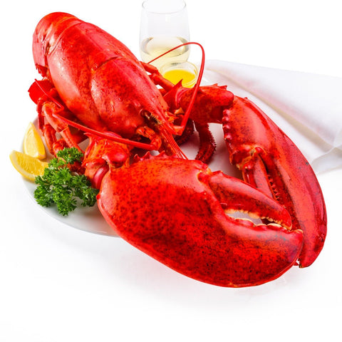 6 lb - 8 lb North Atlantic Live Lobster - Maine Lobster Now