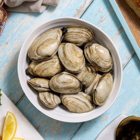 Gulf of Maine Steamer Clams - 1 lb. - Maine Lobster Now