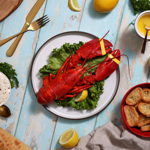 1.25 lb Live Maine Lobster - Maine Lobster Now