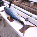 Wild-Caught Yellowfin Ahi Tuna - 10 oz - Maine Lobster Now